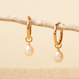 20m Gold_ hoops with Pink Pearls